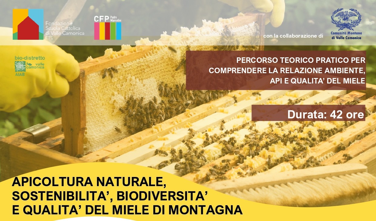 CORSO DI APICOLTURA NATURALE 