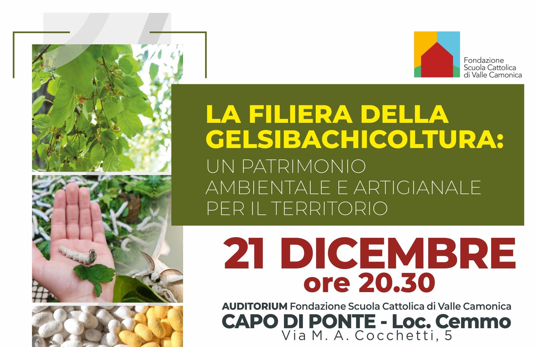 LA FILIERA DELLA GELSIBACHICOLTURA